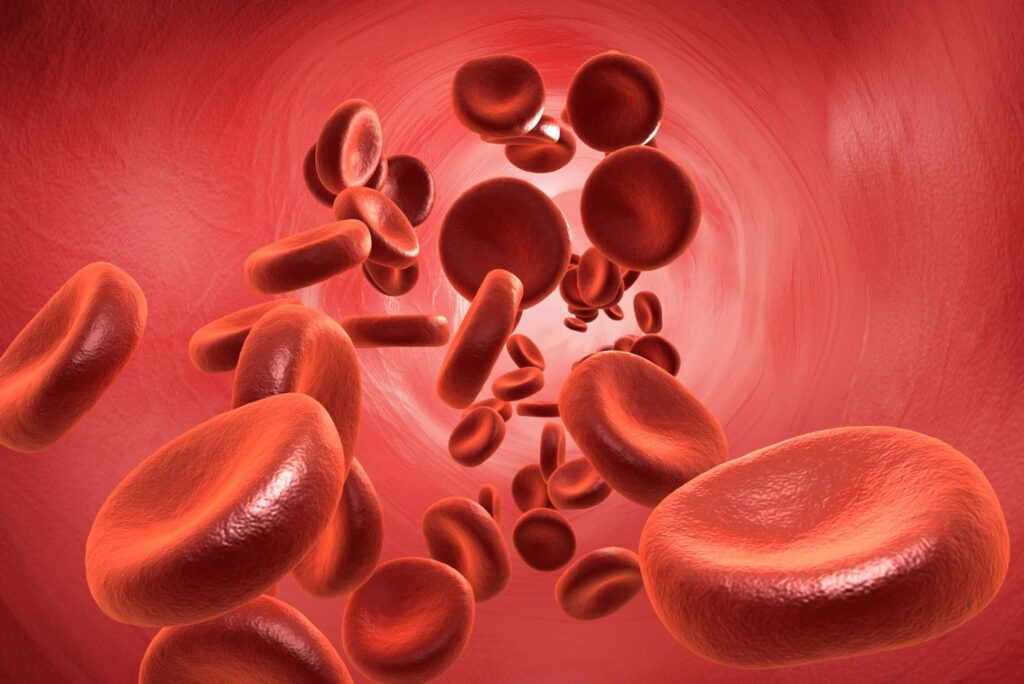 Flow of Blood